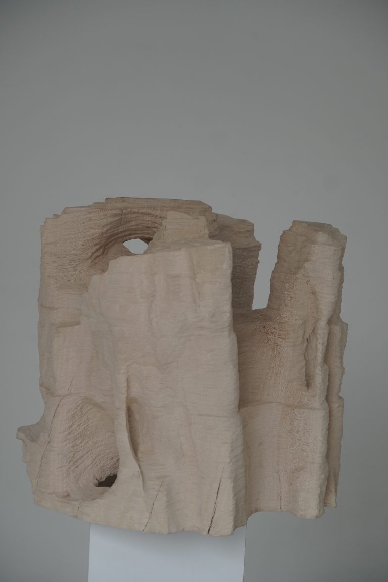 Land Project - Work 5