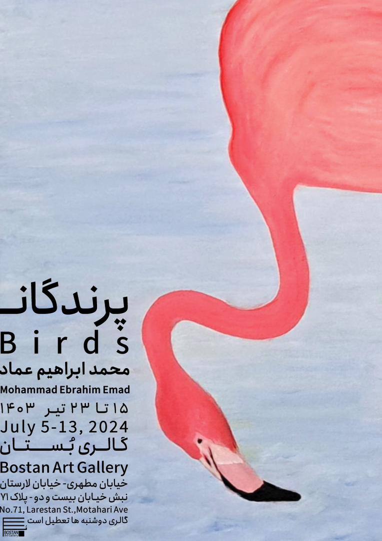 Birds Poster
