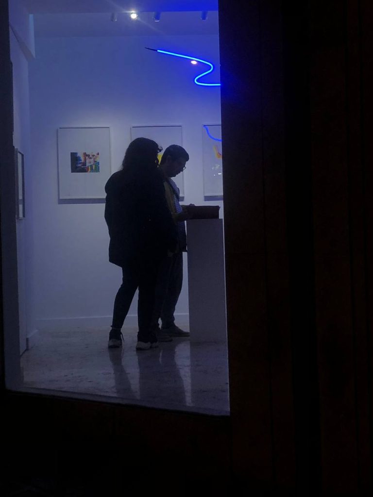 Somayeh Mohammadiasl - Disruption circuit installation views