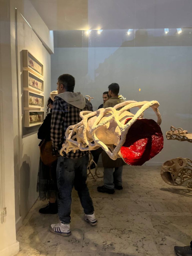 Sarina salimi - maturation installation view