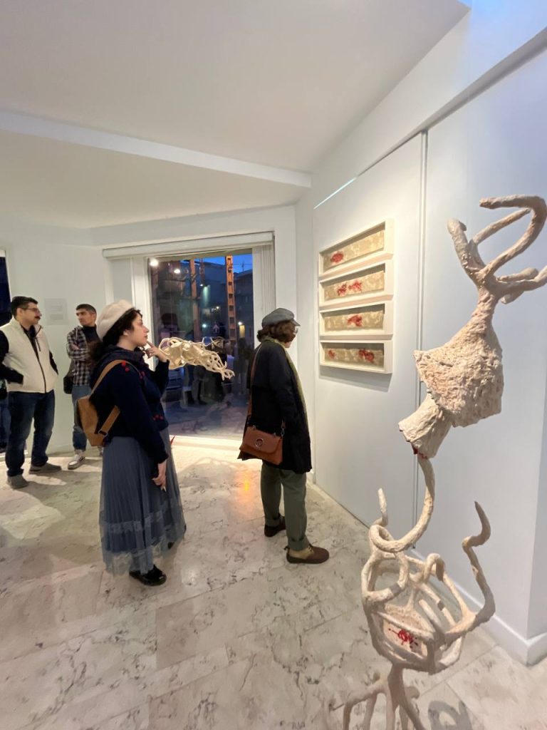 Sarina salimi - maturation installation view