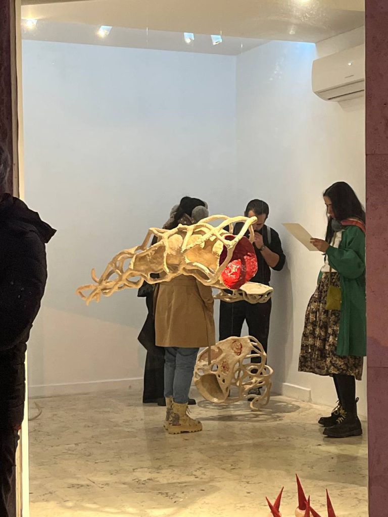 Sarina salimi - maturation installation view