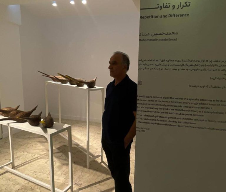 mohammad hossein emad installation views