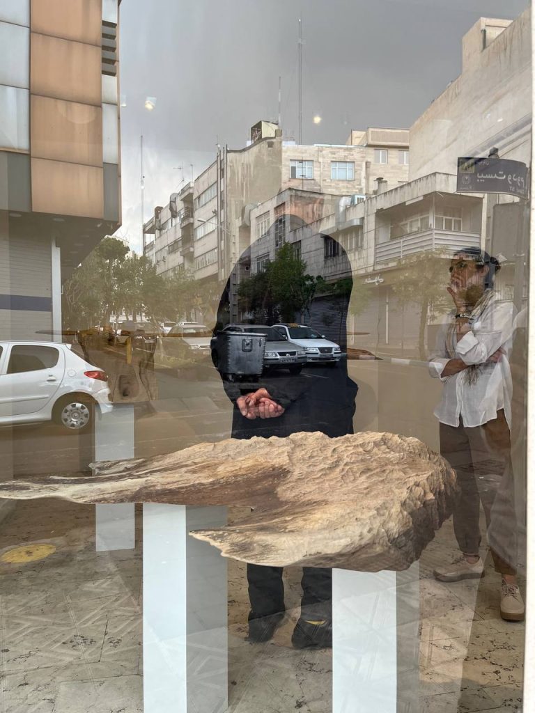 Haleh Moteally - Land Project - Installation Views