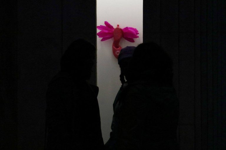 Shekar Bahrami - MUZE project - Installation views