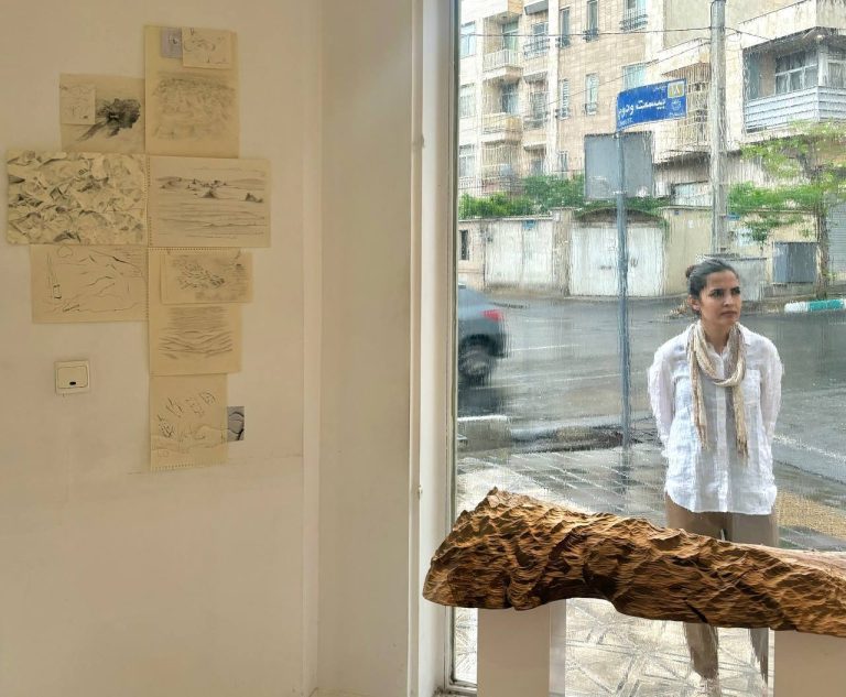 Haleh Moteally - Land Project - Installation Views