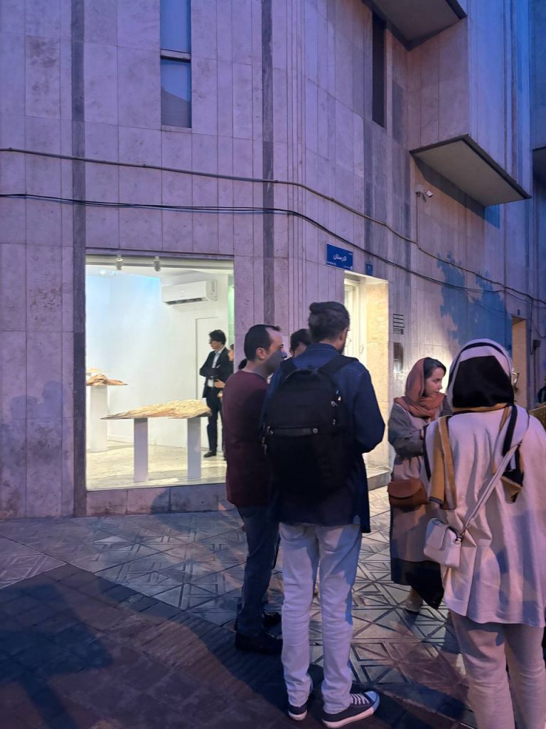 Haleh Moteally - Land Project - Installation Views